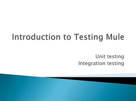 Introduction to Testing Mule 